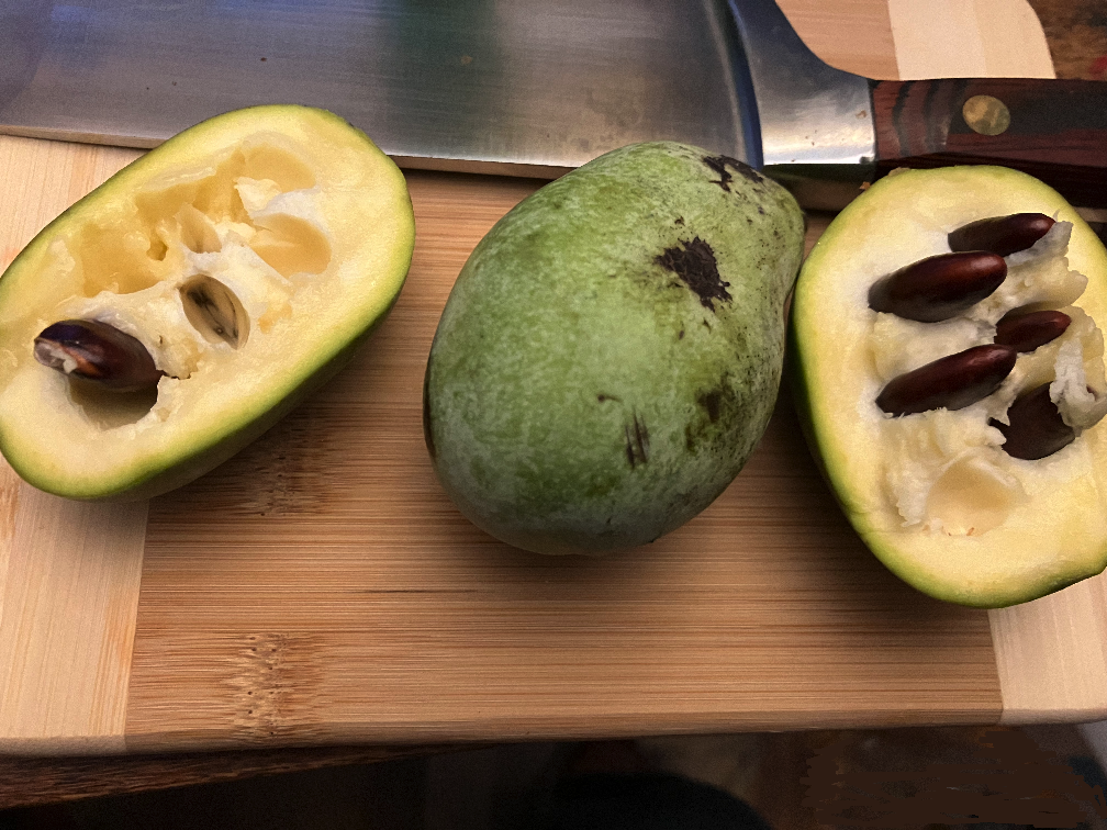 Pawpaw fruit!