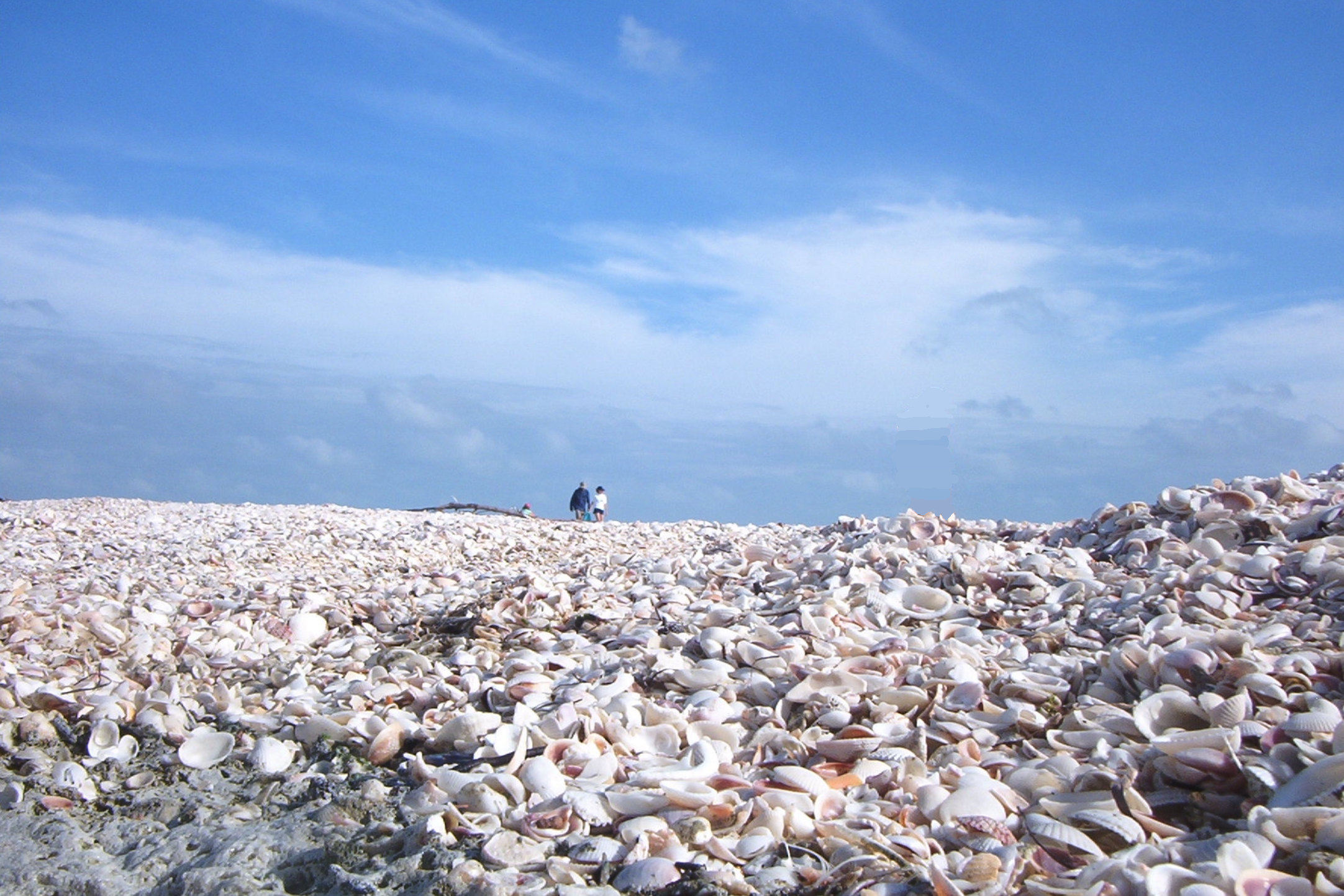 I feel really bad about it but I had to photoshop 
					this image 
					so that I won’t get in trouble. You can email me if you want to see the original.